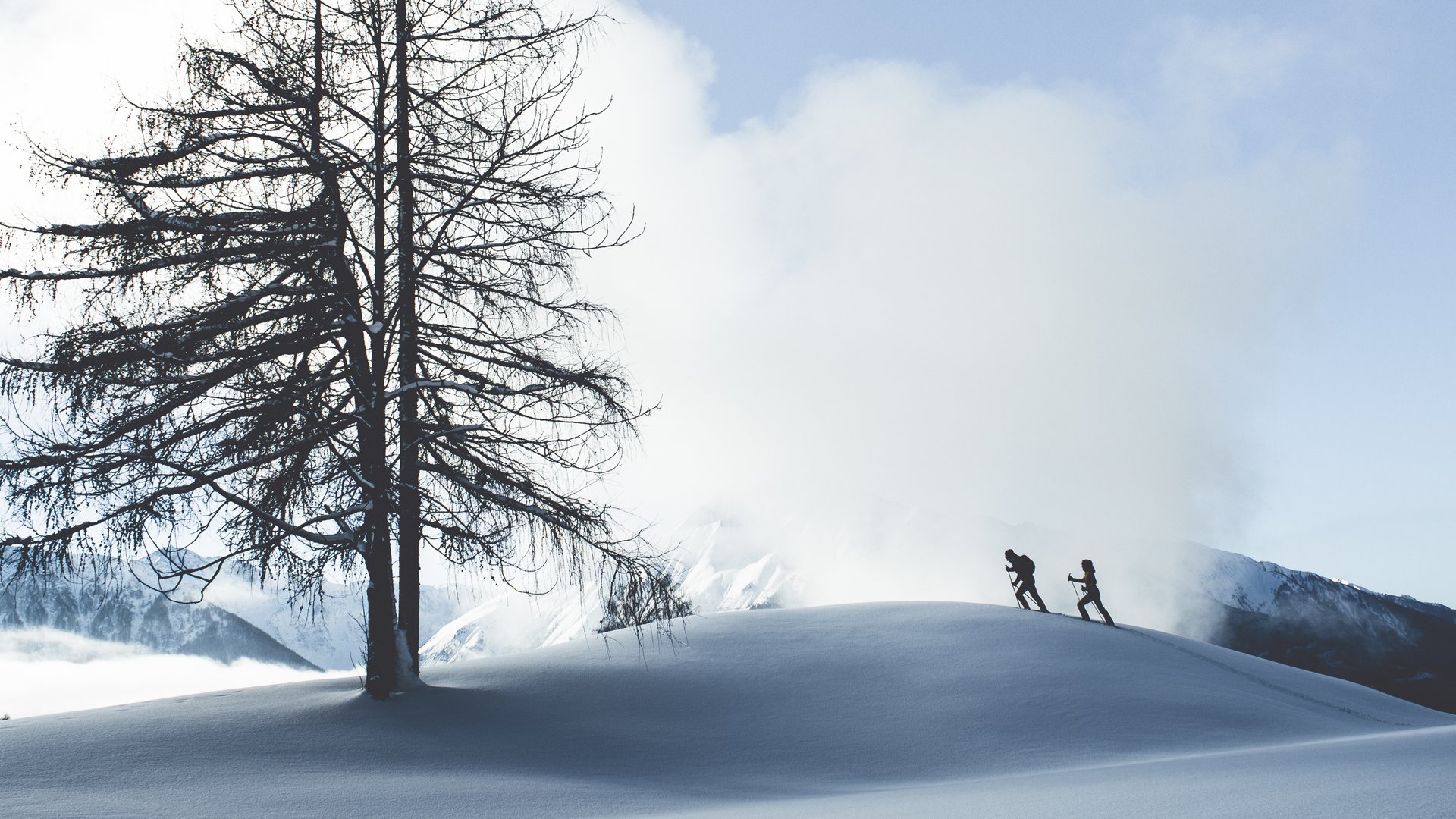 Two skiers climb a snowy hill by a bare tree with mountain mist in the background